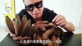 世界十大稀有水果之一，有钱不一定买得到，这种香蕉王你见过吗？