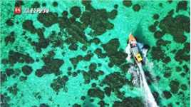 梦中的玻璃海！泰国丽贝岛绝美4K航拍