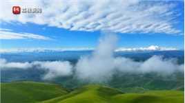 如梦如幻！新疆阿克塔斯草原绿草如茵云海翻滚