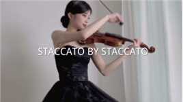 小提琴演奏《STACCTO By STACCTO》