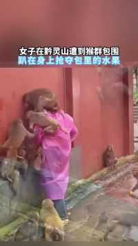 女子在黔灵山遭到猴群包围，趴在身上抢夺包里的水果