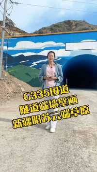 隧道端墙壁画：新疆昭苏云端草原。我们把蓝天下云端草原的美景留在这群山之中，留在这G335国道上。