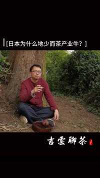 🗣【吉云聊茶】之《日本为什么地少但茶产业却很牛？》🌳🍃🔥#知茶懂茶 #高山茶