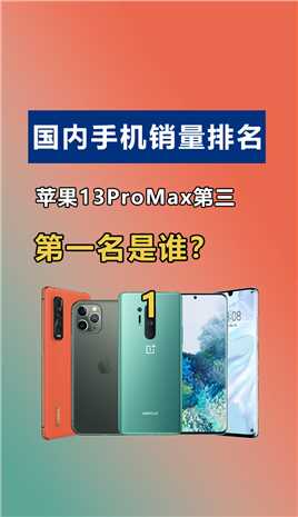 中国畅销手机Top10，苹果13Pro Max只排第三，第一名是谁？#手机数码 #手机销量 #苹果手机  #荣耀手机 