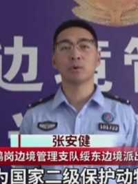 黑龙江电视台《新闻法治在线》：地里干活捡到猪獾 民警将它放归
