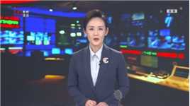 黑龙江电视台《新闻法治在线》：野生鸟类受伤 民警接力救助