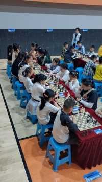 五一节重庆比赛多#国际象棋杨洋  #豪哥和二宝 #杨洋爱国象 #国际象棋入门