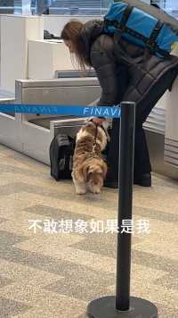 分享之前在芬兰遇到的狗狗友好航班啊啊啊！！