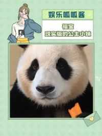 福宝：我家里有矿我狂吃#福宝#大熊猫#大熊猫福宝