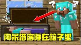 我的世界：阿呆借宿史蒂夫家 睡在箱子里看懵史蒂夫！