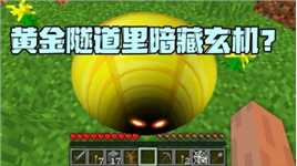 我的世界：月黑风高发生怪事 黄金隧道暗藏玄机！