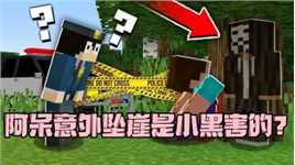 我的世界：阿呆意外坠崖都是小黑害的？真相究竟如何？
