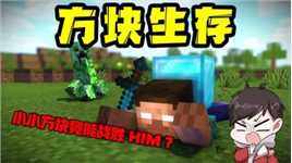 我的世界  小小方块的逆袭之路  挑战HIM大魔王！