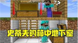 我的世界：史蒂夫在箱子里修建地下室 不为别的就为了防阿呆！