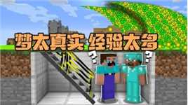 我的世界：阿呆做梦梦见经验河 想让梦真实一点结果却反转了