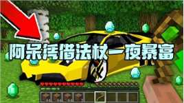 我的世界：阿呆偷到女巫法杖 到处为非作歹一夜暴富！