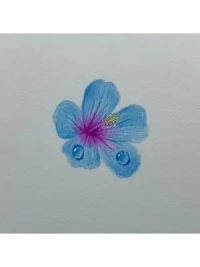    画画来吧，蓝色小花朵