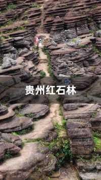 太意外了，贵州村民居然在荒山挖出五亿年奇观，大自然鬼斧神工，层层叠叠，美丽的红石林