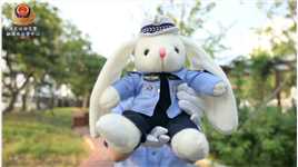 这个中秋佳节，保定公安交警和“兔警官”邀你一起文明出行！#保定身边事 