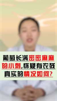 买个葡萄都能被坑，长满密密麻麻虫子，总结：买家没有卖家精！