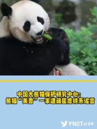 中国大熊猫保护研究中心：熊猫“美香”一家遭藏匿虐待系谣言。