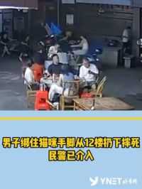 男子绑住猫咪手脚从12楼扔下摔死，民警已介入。