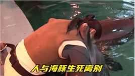 海豚打工半生，终于迎来老年生活，海洋馆将其送回大海。