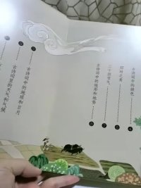 揭秘汉字+揭秘古诗词#儿童绘本