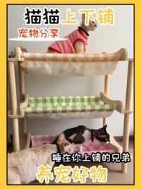 多猫家庭很需要的上下铺小床 #618好物节 #萌宠好物 #种草好物