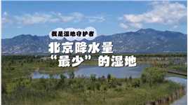 我是湿地守护者|北京降雨量“最少”的湿地