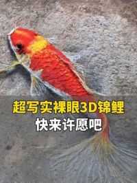 6月10日（发布时间），重庆。男子在地上画出超写实裸眼3D锦鲤，见者好运，快来许愿吧~ #锦鲤