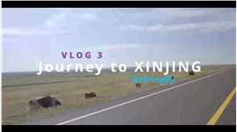 呼伦贝尔—新疆，自驾第一天 #兔年在路上 #我的日常vlog 
