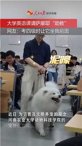 【#狗狗也去做助教 】河南农业大学课堂请萨摩耶“做助教”，听话有礼貌还懂英文。（来源：中国新闻网）