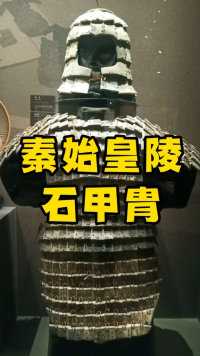 秦始皇陵出土的石甲胄，为青石所制，并不具有实用性。