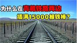 青藏铁路两旁1.5万根热棒，一根造价高达20万，到底有什么用？