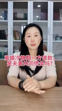 婚冷静期一方借款，是夫妻共同债务吗？#襄阳婚姻家庭律师