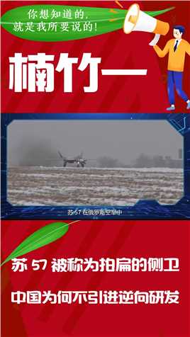 苏57被称为拍扁的侧卫，中国为何不引进逆向研发，打造隐身版歼16