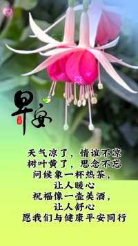 早安#愿我们与健康平安同行#早上好#手机拍摄 