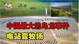 中国最大的“乌龙”事件！原本打算荒漠建电厂，却意外获得了牧场