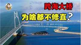 舍直取弯？港珠澳跨海大桥为何不修直，直的不是更省钱吗？
