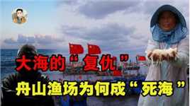 从辉煌到衰败，中国最大的渔场舟山渔场，为何会“富极而衰”？