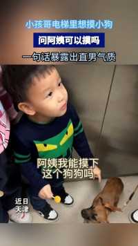 小孩哥电梯里想摸小狗， 问阿姨可以摸吗 一句话暴露出直男气质