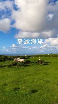 威尔士南部斯旺西，静谧的罗西里海岸边，海马在津津有味地吃草，早已吃饱的羊儿静卧在绿绿的草地上，一条弯弯的小路通向仿佛住在云端的白色小村庄。