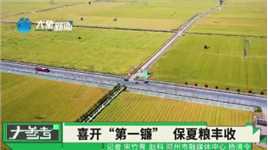丰收华章 豫麦飘香丨邓州6.8万亩小麦喜开“第一镰”