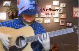 《Sunflower》吉他指弹，在逆境中生长的向阳花
