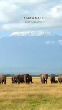 肯尼亚🇰🇪安博塞利国家公园

最佳乞力马扎罗雪山🏔️观景位

非洲象群…