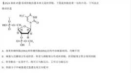 2024年湖南高考化学第5题有机化学