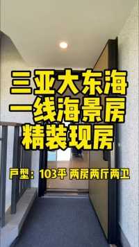 享三亚繁华，居半山豪宅。大东海一线海景现房103平2房#房地产