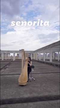 《senorita》演奏#竖琴