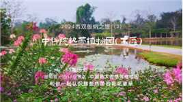 2024西双版纳之旅（3）中科院热带植物园（西区），漫步中国最大的热带植物园，遇见那些热带植物和花花草草，大开眼睛，美不胜收。#2024西双版纳 #西双版纳 #中科院版纳植物园 #热带植物 